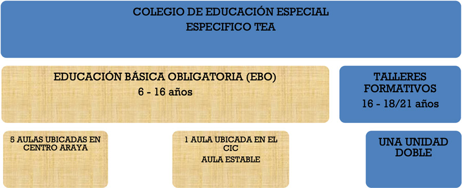 Etapas educativas Colegio TEA Araya